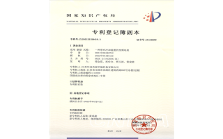 专利号：ZL202122150419.3 一种带有冷却装置的变频电机